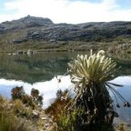 PAISAJE DE TRANQUILIDAD Y VIDA